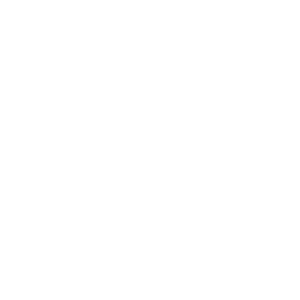 phi. denim